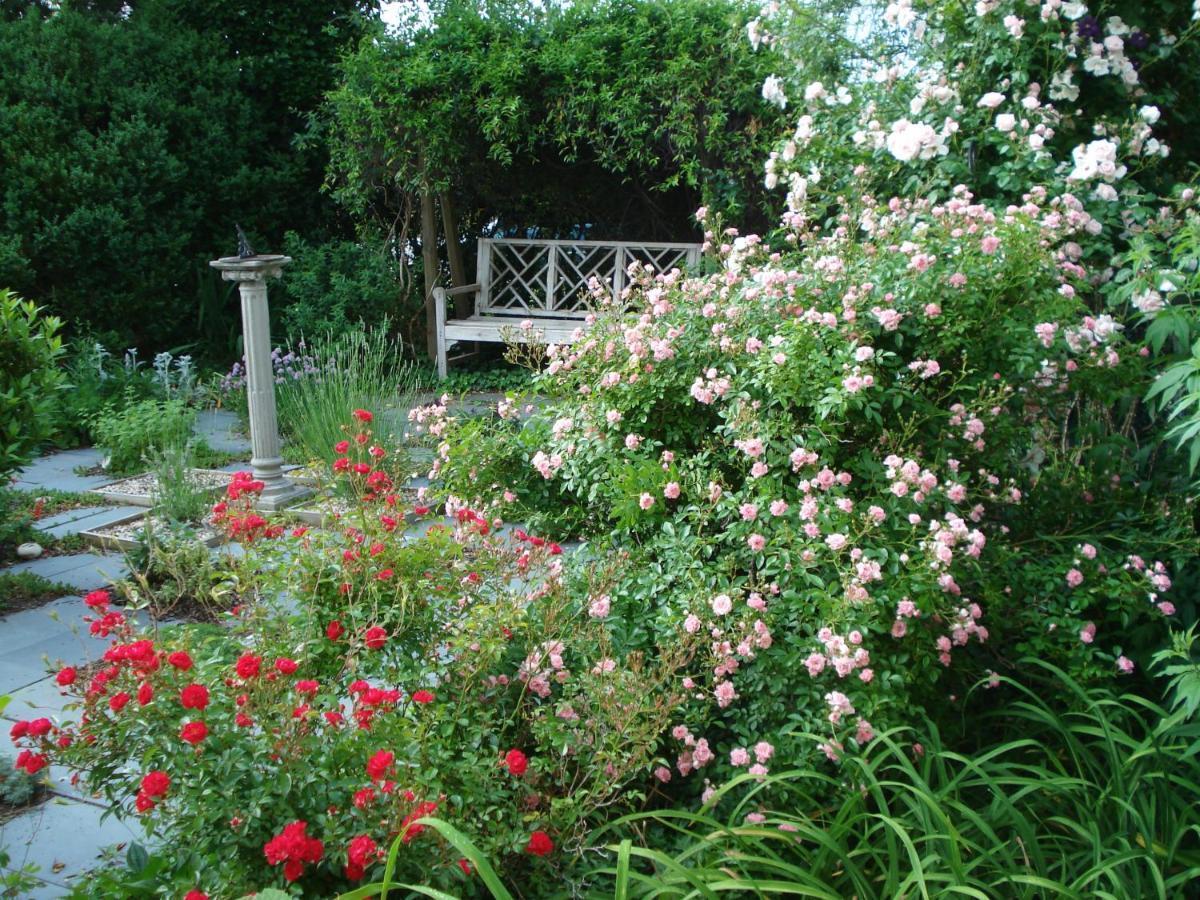 Frühstückspension Newport House Bed & Breakfast *